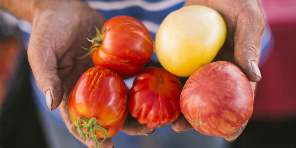 Yakima Valley Find What Produce is in Season