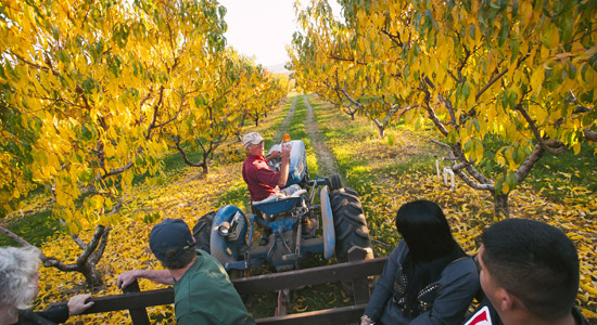 Yakima Valley Farm Festivals and Events