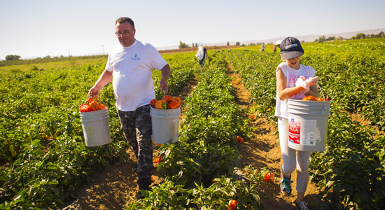 Yakima Valley U-pick Farms