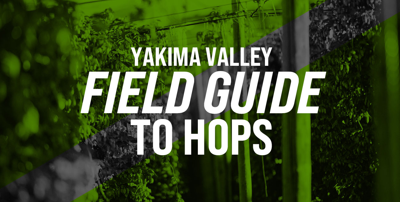 Yakima Valley Field Guide to Hops