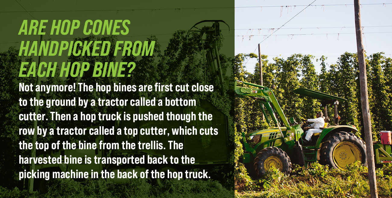 Yakima Valley Field Guide to Hops