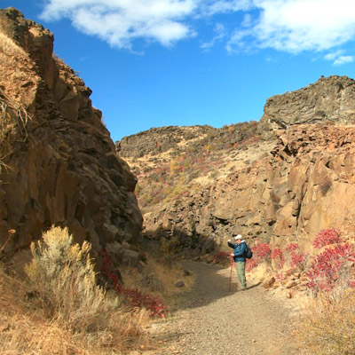 Cowiche Canyon Trail Wildlife Viewing