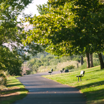 Yakima Greenway Wildlife Viewing
