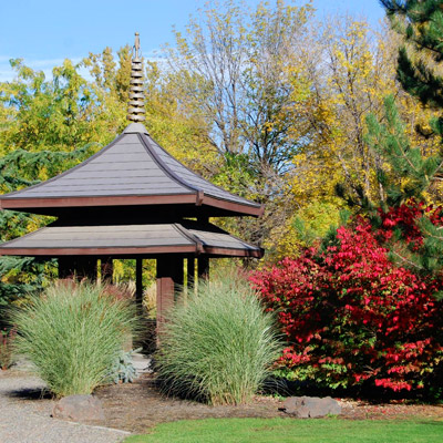 Yakima Area Arboretum Wildlife Viewing