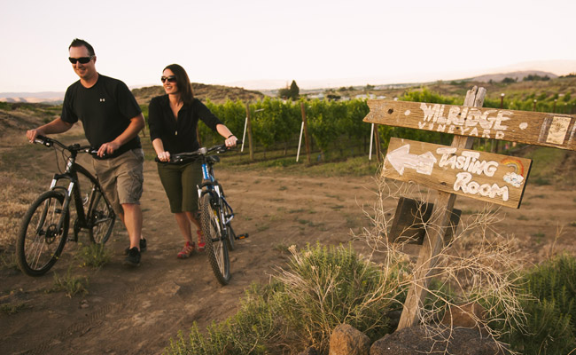 Wilridge Vineyard, Winery and Distillery