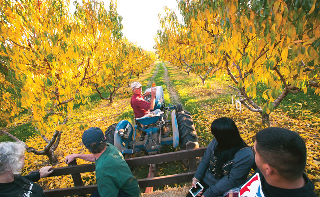 Harvest Festivals and Fall U-pick - Yakima Valley