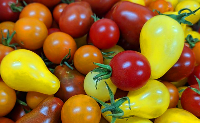 McIlrath Farm Market - Yakima Valley Farm Stand