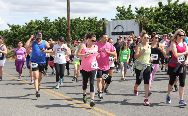 Rattlesnake Hills Wine Run - Zillah Wine Country