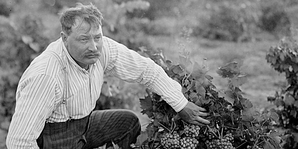 Yakima Valley Wine History