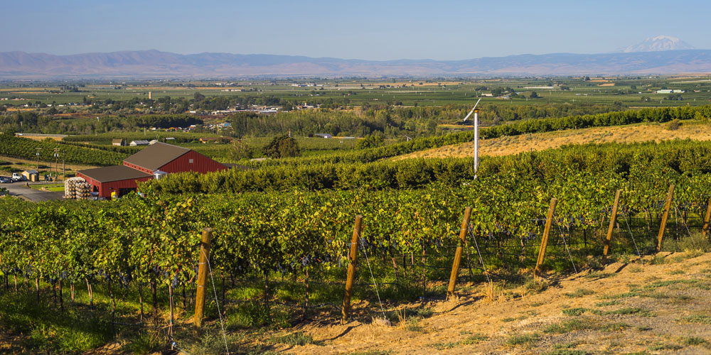 Yakima Valley Wine Map